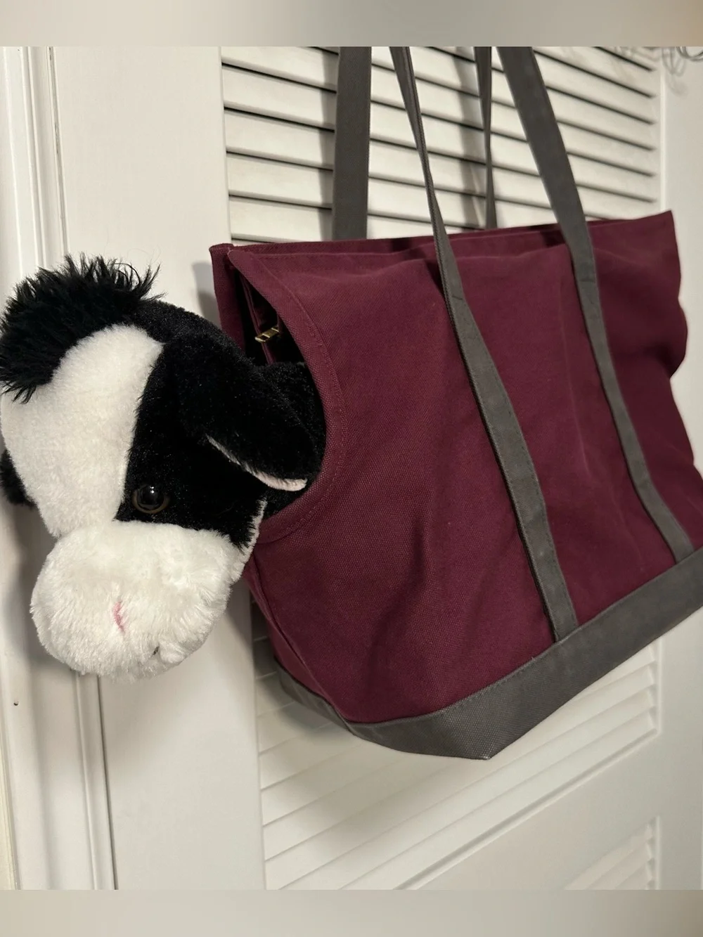 Love Thy Beast Canvas Dog Tote- Medium dog (15lbs)